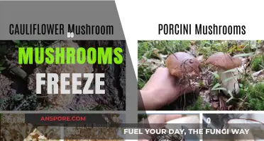 Freezing Mushrooms: What You Need to Know