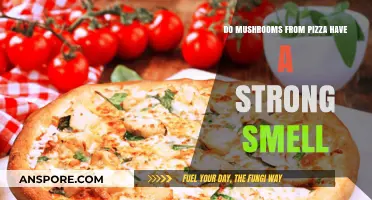Do Pizza Mushrooms Smell Strong? Uncovering the Truth About Their Aroma