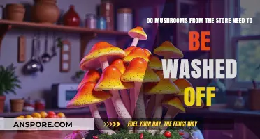 Should You Wash Store-Bought Mushrooms? A Quick Guide
