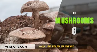 Mushroom Mysteries: Do They Really?