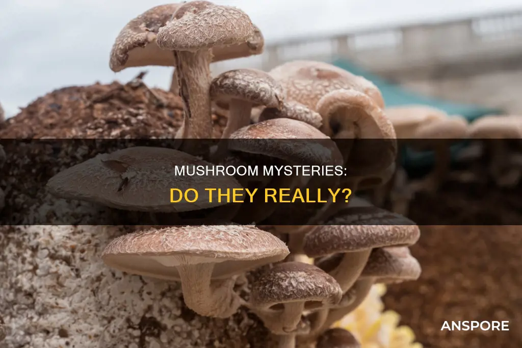 do mushrooms g