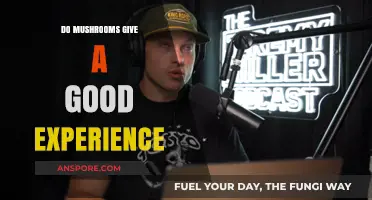 Exploring the Psychedelic Journey: Do Mushrooms Offer a Positive Experience?