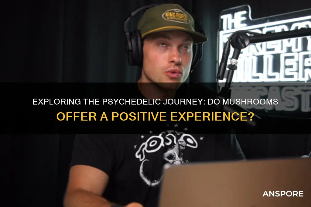 do mushrooms give a good experience