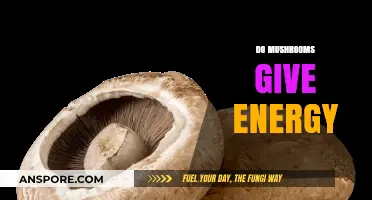 Mushrooms: Nature's Energy-Boosting Superfood?