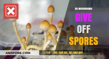 Mushrooms: Spores and Their Purpose