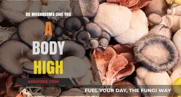 Exploring the Physical Sensations: Do Mushrooms Induce a Body High?