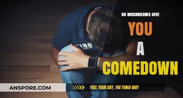 Mushroom Comedown Effects: What to Expect After Shroom Trips