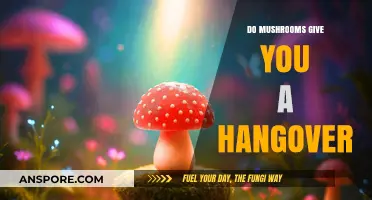 Mushrooms and Hangovers: Debunking the Myth of Post-Trip Headaches