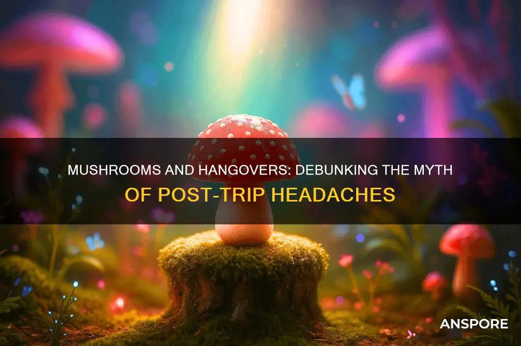do mushrooms give you a hangover