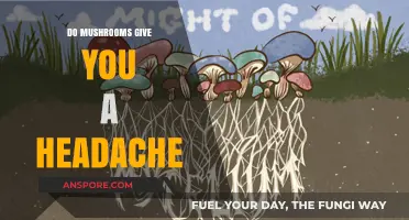 Mushrooms and Headaches: Unraveling the Truth Behind the Myth