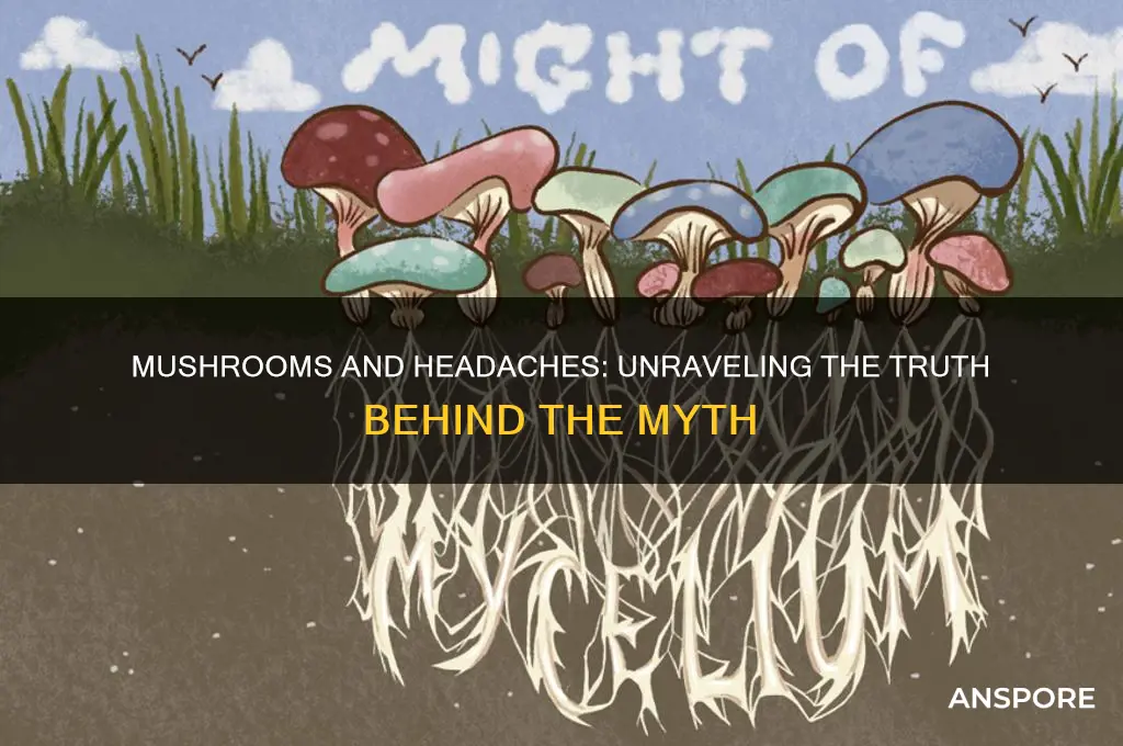 do mushrooms give you a headache