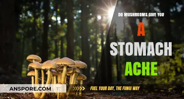 Can Mushrooms Cause Stomach Aches? Exploring Digestive Reactions to Fungi