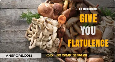 Mushrooms: The Surprising Cause of Flatulence?