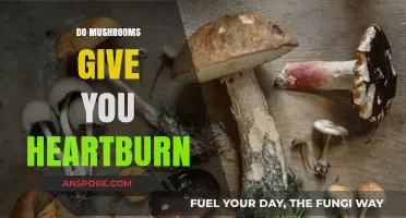 Heartburn and Mushrooms: What's the Connection?