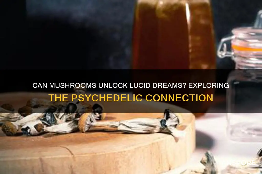 do mushrooms give you lucid dreams