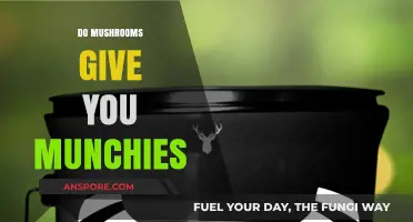 Mushroom Munchies: The Ultimate Snack Inducer?