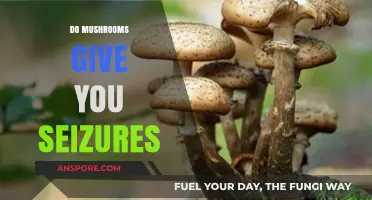 Mushrooms and Seizures: What's the Real Risk?