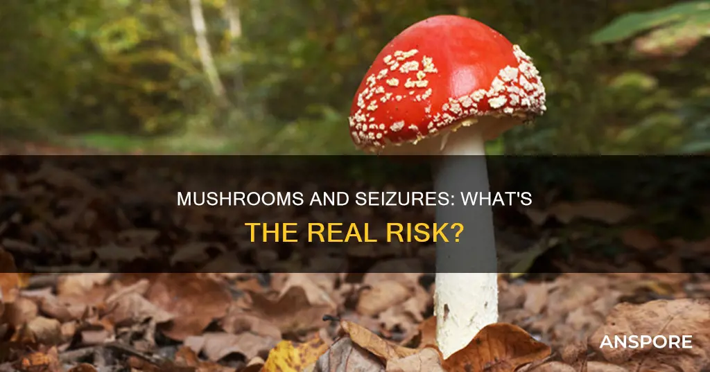 do mushrooms give you seizures