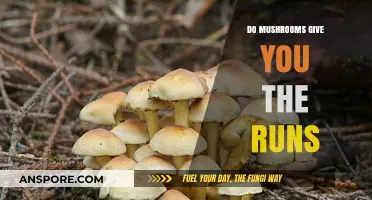 Mushrooms and Diarrhea: Unraveling the Truth Behind the Runs