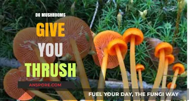 Mushrooms and Thrush: Is There a Link?