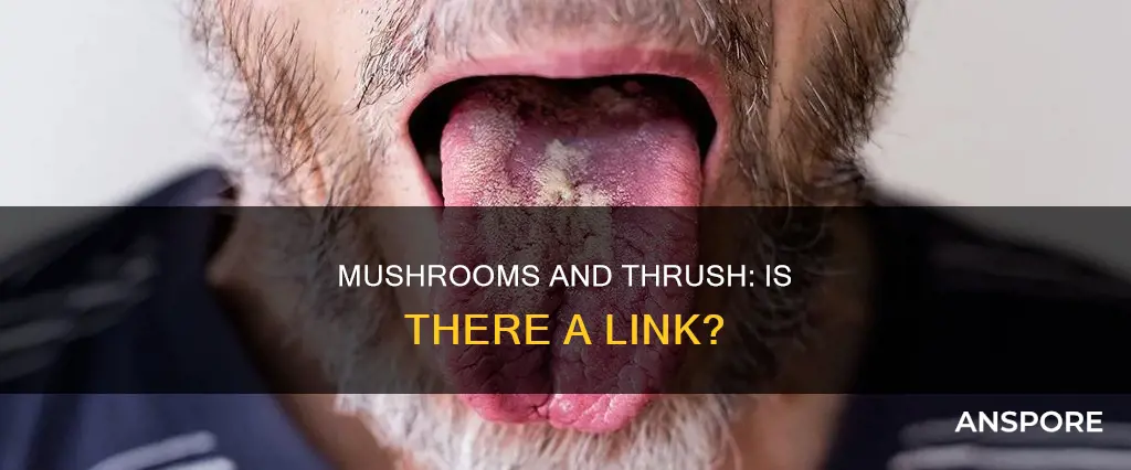 do mushrooms give you thrush