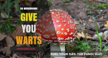 Mushrooms and Warts: Unlikely Skin Growth Partners