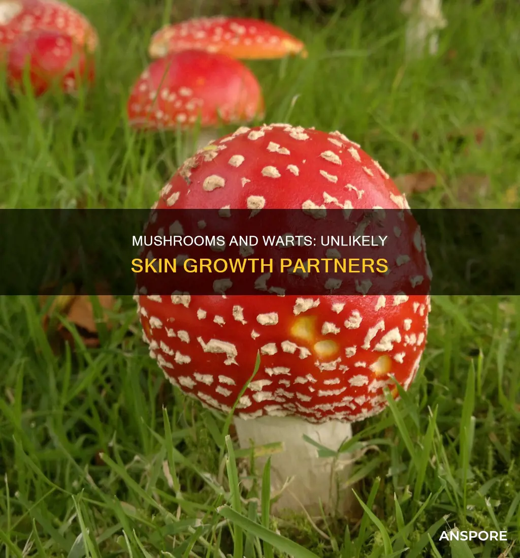 do mushrooms give you warts