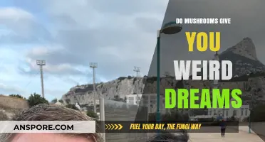 Mushrooms and Dreams: Unraveling the Link to Strange Nighttime Visions