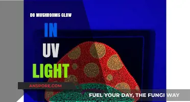 Do Mushrooms Glow in UV Light? Unveiling the Bioluminescent Mystery