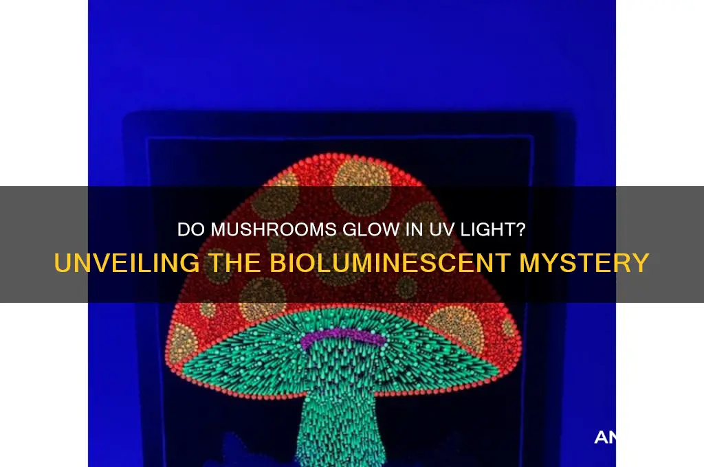 do mushrooms glow in uv light