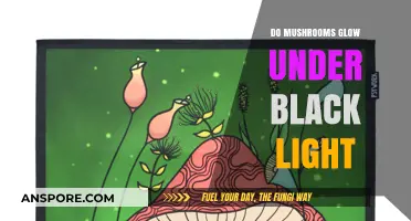 Do Mushrooms Glow Under Black Light? Unveiling the Fluorescent Truth