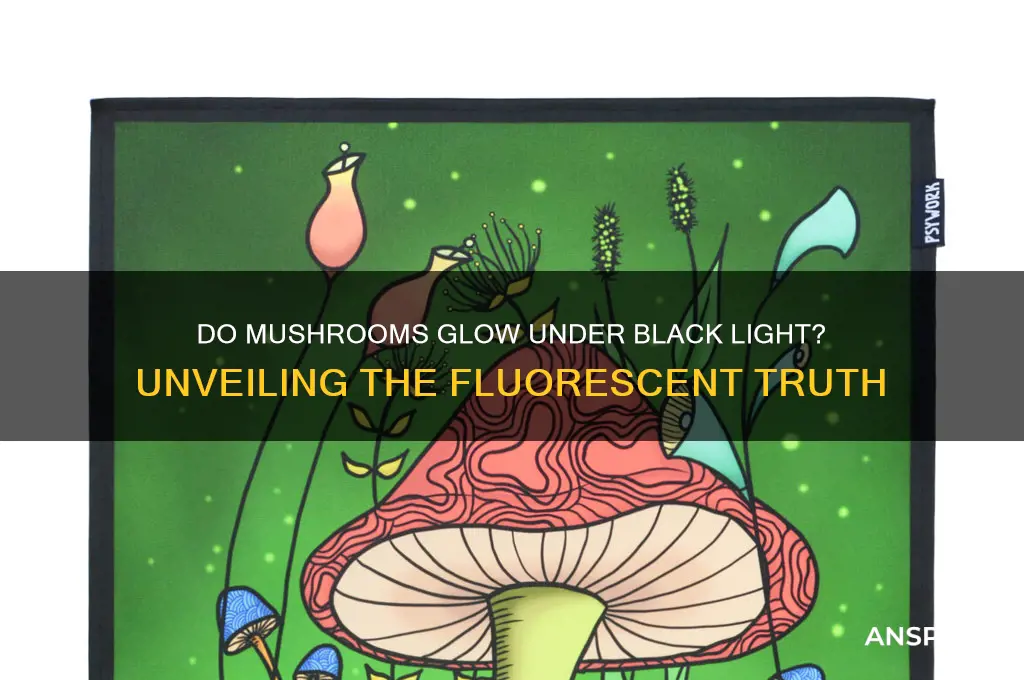 do mushrooms glow under black light