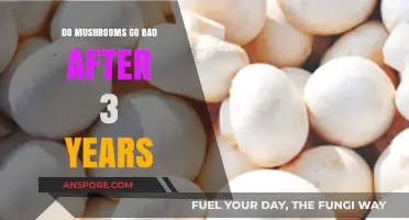 Can Mushrooms Last 3 Years? Shelf Life and Storage Tips