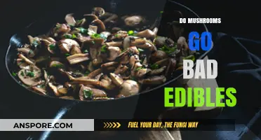Do Edible Mushrooms Expire? Shelf Life and Safety Tips