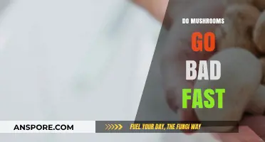 How Long Do Mushrooms Last? Tips to Prevent Quick Spoilage