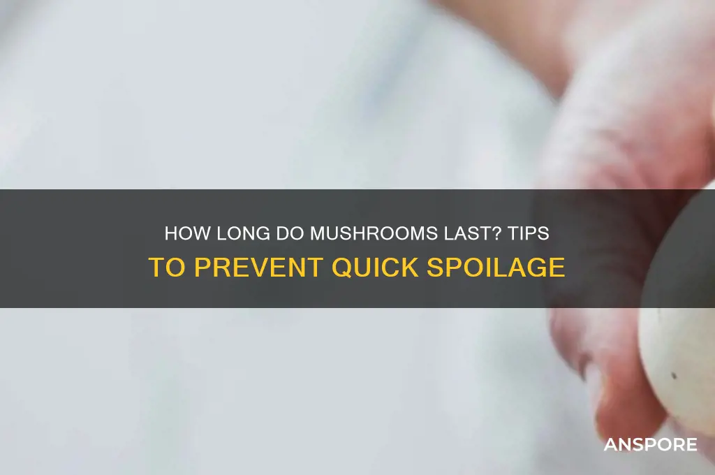 do mushrooms go bad fast