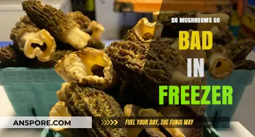 Can Mushrooms Be Frozen? Storage Tips to Prevent Spoilage