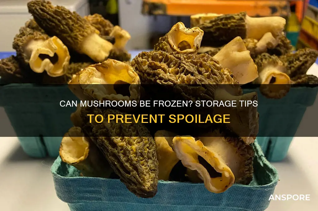 do mushrooms go bad in freezer