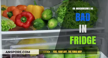 How Long Do Mushrooms Last in the Fridge? Freshness Guide