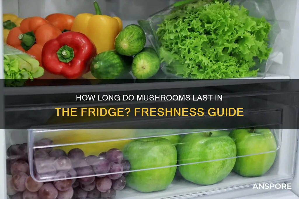 do mushrooms go bad in fridge