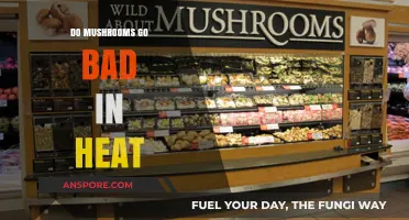 Can Mushrooms Withstand Heat? Shelf Life and Storage Tips Revealed