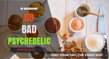 Do Psychedelic Mushrooms Expire? Shelf Life and Safety Tips