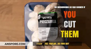 Cut Mushrooms: Do They Spoil Faster Than Whole Ones?