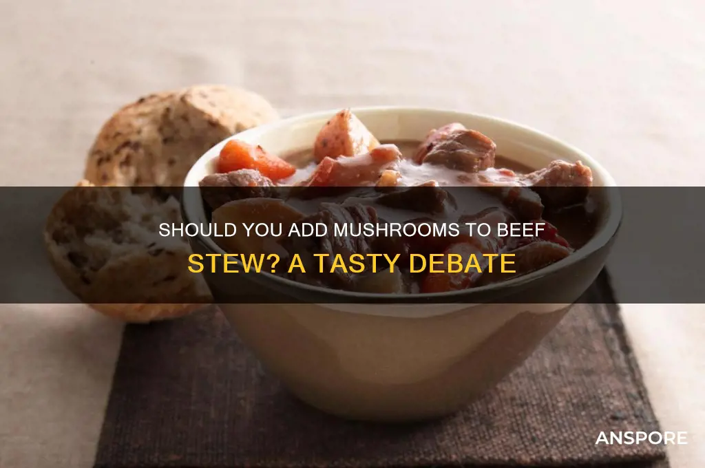 do mushrooms go in beef stew