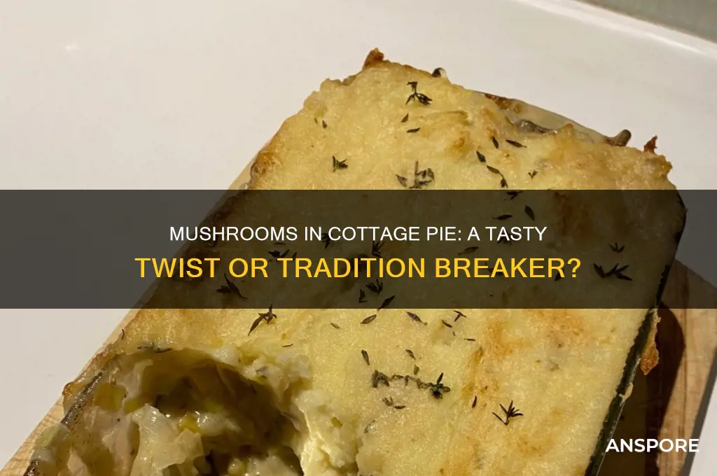 do mushrooms go in cottage pie