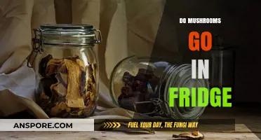 Mushroom Storage: Fridge or No Fridge?