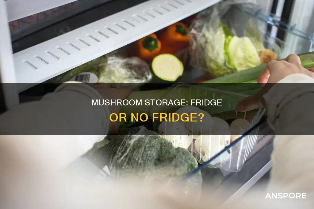 do mushrooms go in fridge
