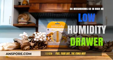 High or Low Humidity: Where to Store Mushrooms for Freshness