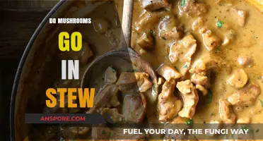 Mushroom Stew: Should You Add Them?