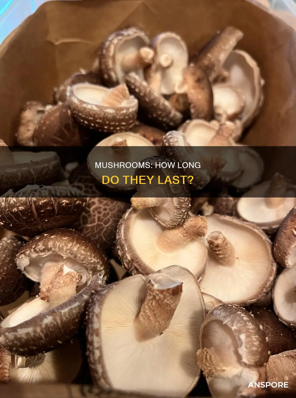 do mushrooms go off